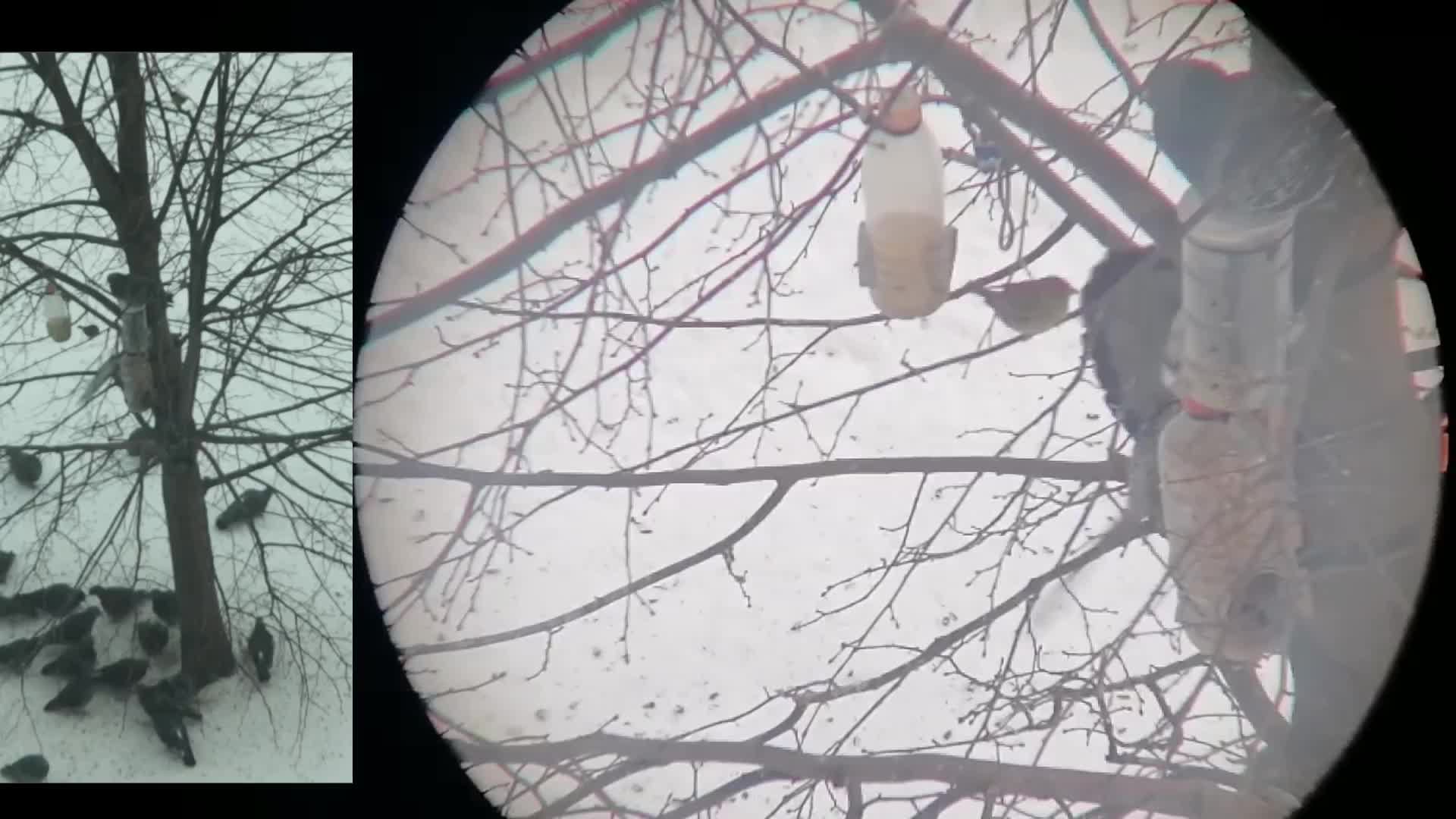 Кормушка для птиц