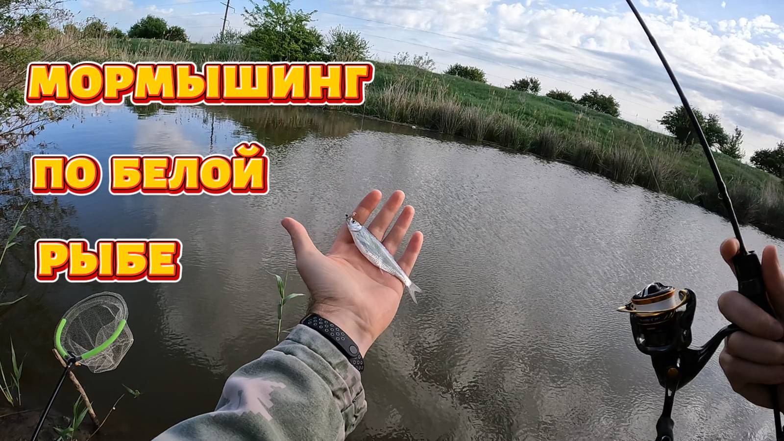 Мормышинг по белой рыбе.