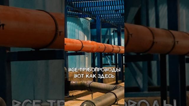 МАЛЬКОВАЯ ФЕРМА ИЗНУТРИ