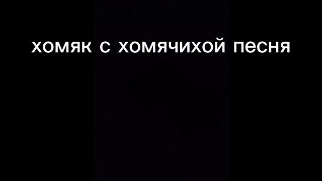 хомяк с хомячихой песня