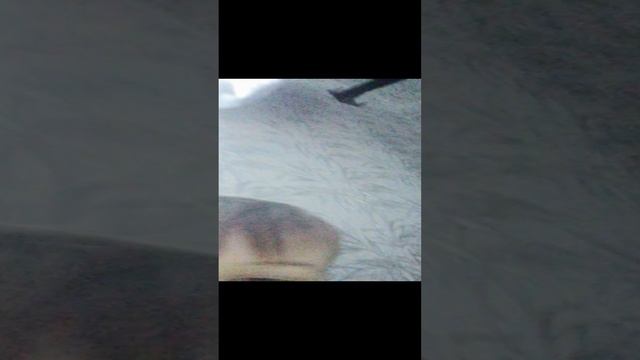 Игра в кальмара 3 часть