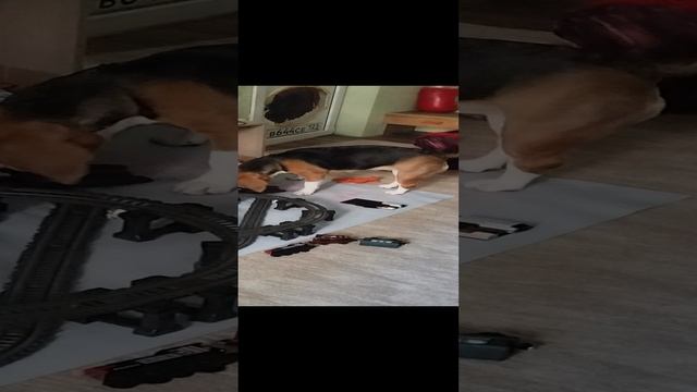 Ваня супер