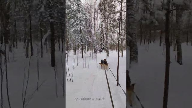 Приходите, вас тут ждут!
