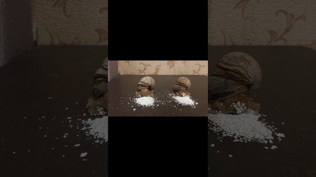 Улиточки кушают