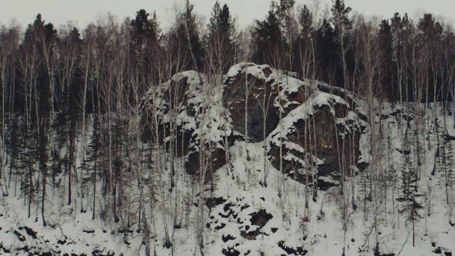 Подземельник