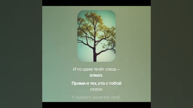 Песня. Не забывай что жизнь не сказка