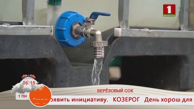 Добрай раніцы, Беларусь! Берёзовый сок