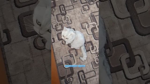 07-01-2025 Для настроения
