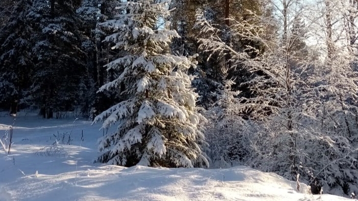 Песни колядовать