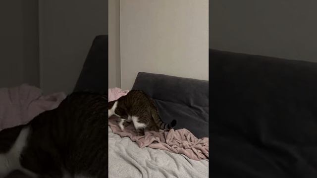 1000004677.mp4