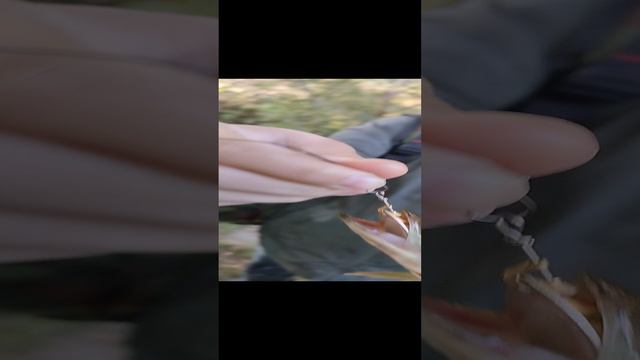 Моя первая щучка в жизни! 🙂