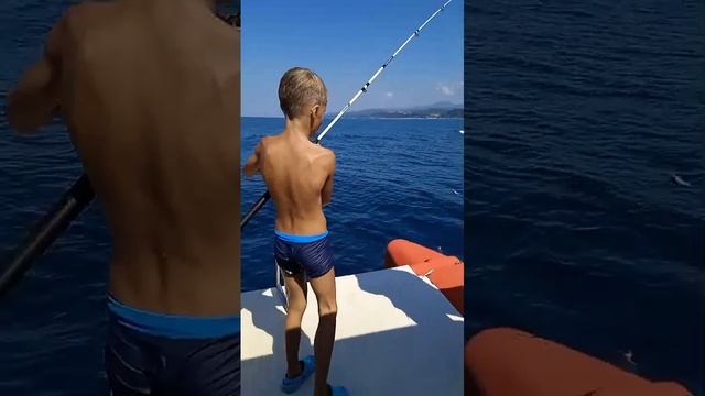 Рыбалка. Отличный улов. Клюнуло сразу четыре рыбы.