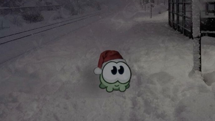класс хомяк