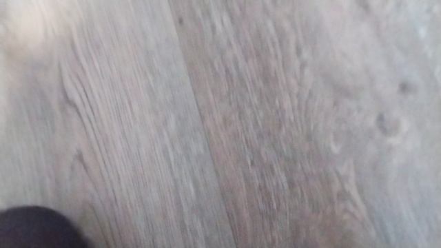 табо сквиши