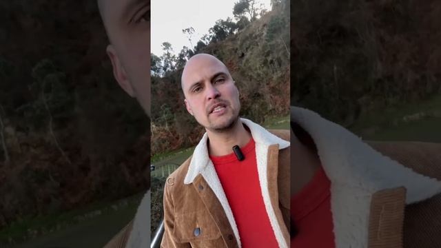 scene_output.mp4