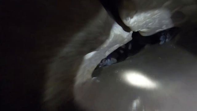 Поход в Каменоломни / Сьяны