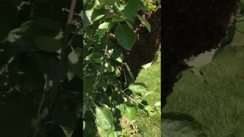 19 июня 2023 г.(1)