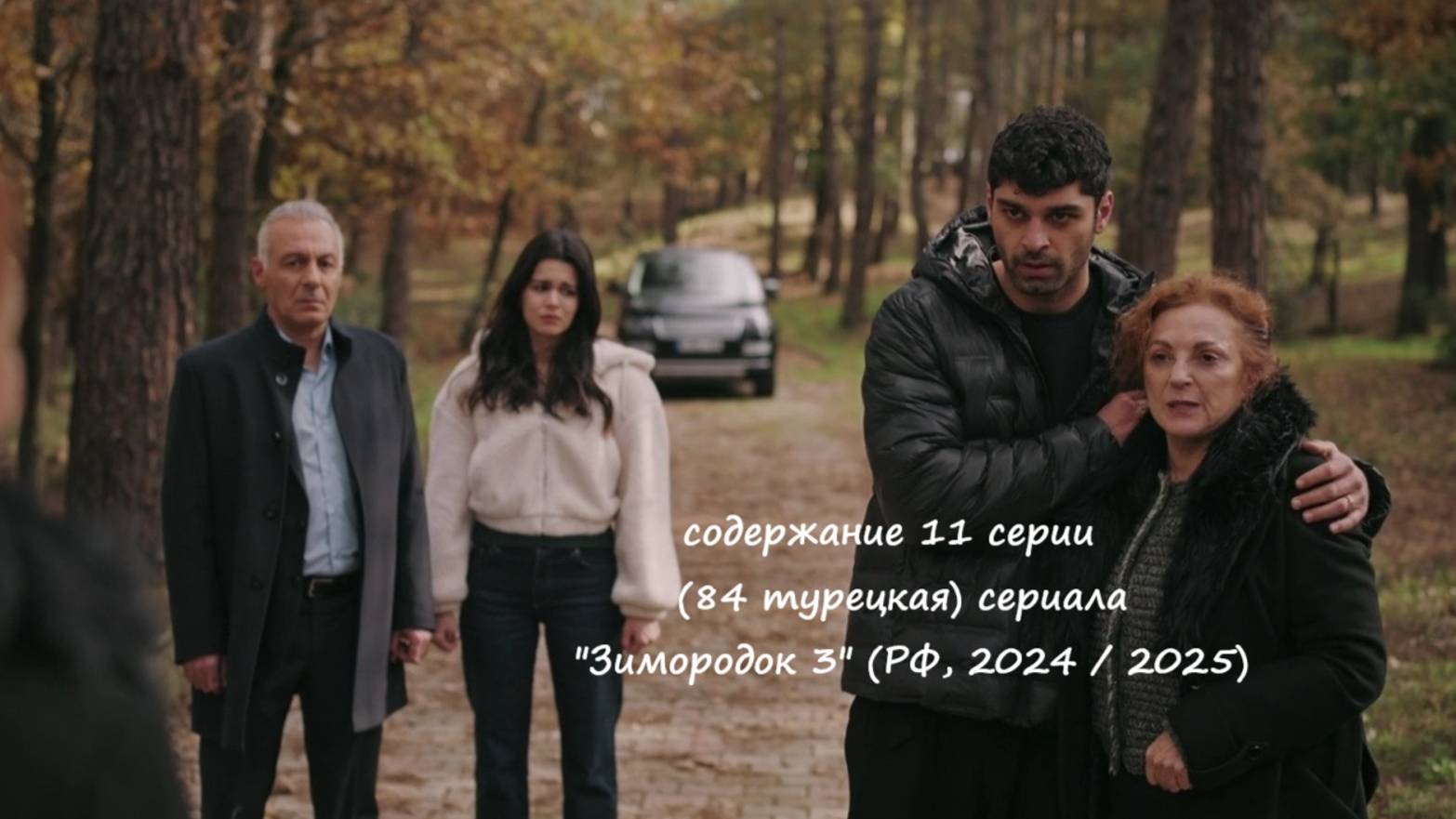 Содержание 11 серии (84 турецкая) третьего сезона сериала "Зимородок" (РФ, 2024 / 2025)