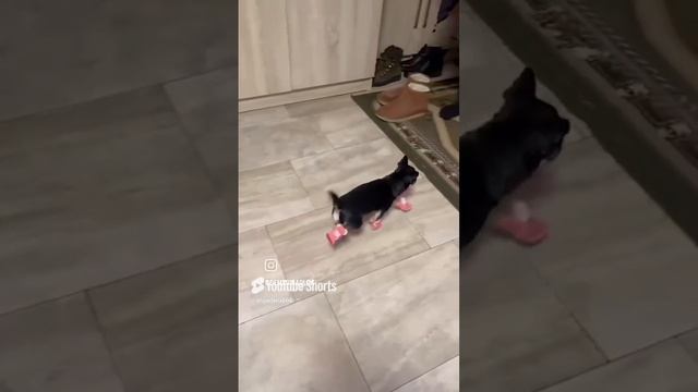 1000024213.mp4