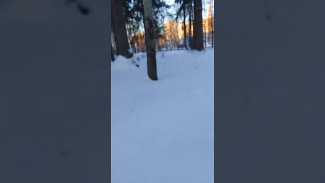 VID-20250107-WA0034