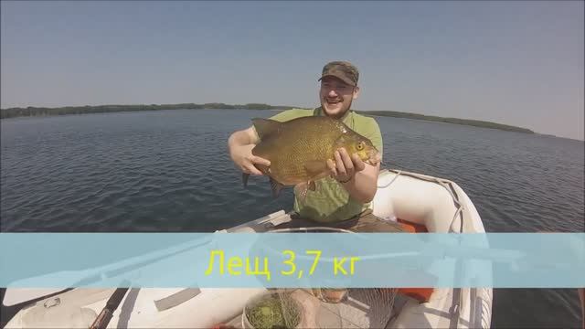 Поймал крупного леща 3.7 кг на балберу