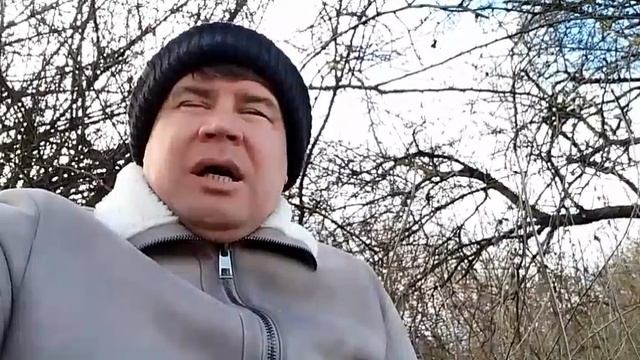 Их это категорически не устраивает.