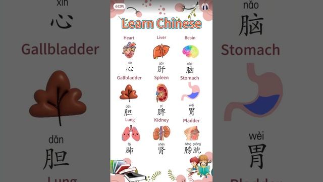 Видео от Китайский язык с нуля - &#20013;&#22269; (10)
