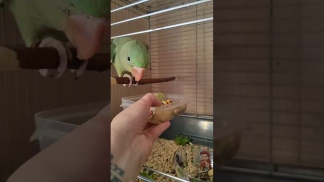 Каждый в моём сердце, каждого помню и люблю 💔