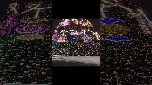 Огромная Новогодняя ёлка на улице Дорогомиловская в Москве.