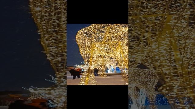 михайловская набережная новосибирск