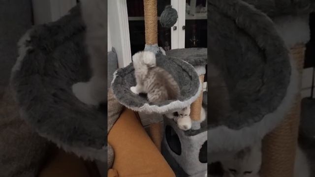 1000045757.mp4