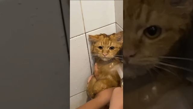 Месть будет суровой)))