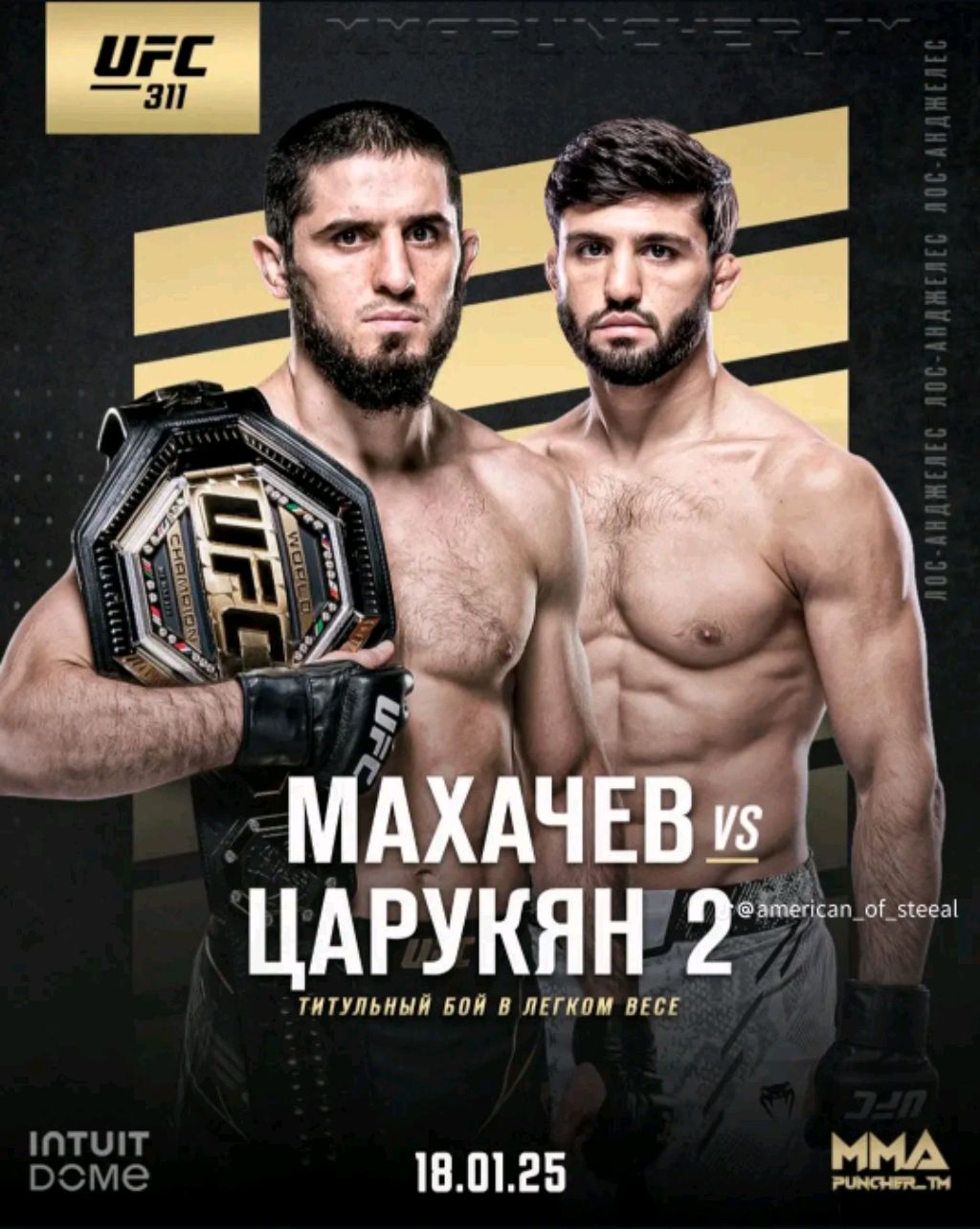 Отчёт UFC 311