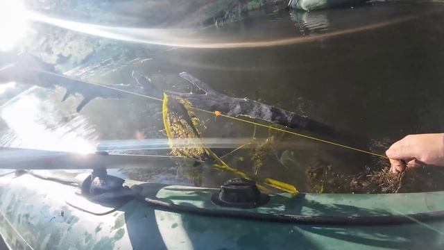 🐠🐟 ЩУКА / СОМ / ЛОДКА / РЫБАЛКА на ЖИВЦА с НОЧЕВКОЙ / СЕВЕРСКИЙ ДОНЕЦ / БОГРАЧ / ЖАРЕНАЯ ЩУКА 🐠🐟