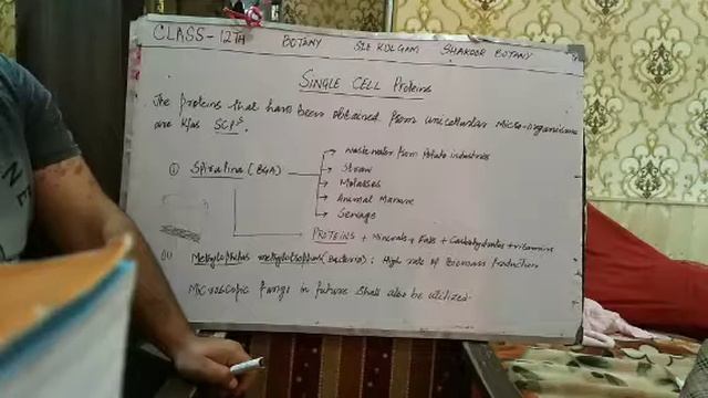 SINGLE CELL PROTEINS (FOR CLASS 12TH & NEET)