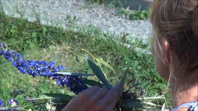 5.Алтай 2014 8 мин.