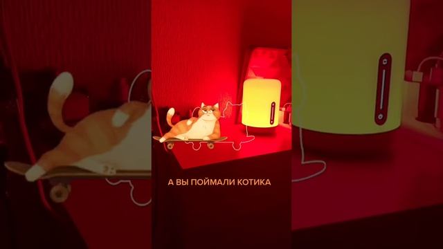 Поймай меня если сможешь