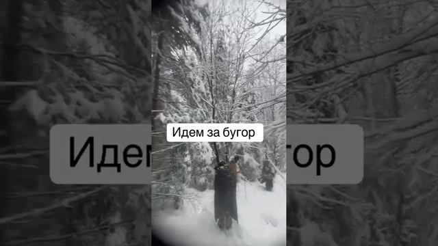 Группе украинцев удалось сбежать от моГилизаторов в Румынию