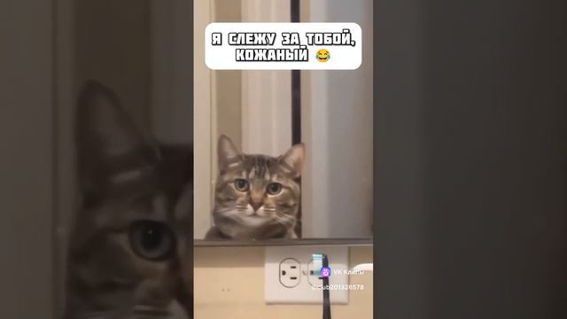1000011089.mp4