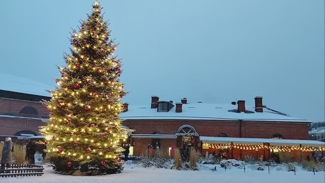 Новая Голландия!Снежная прогулка,Петербург!🌲❄️