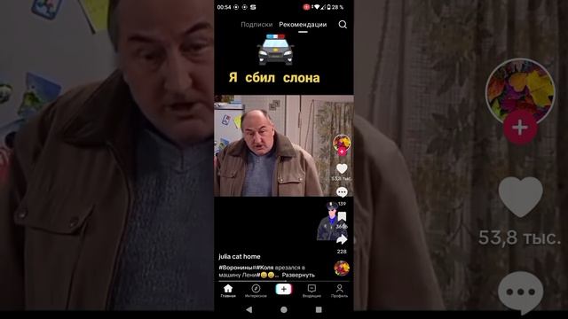 я сбил слона