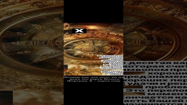 1000126151.mp4
