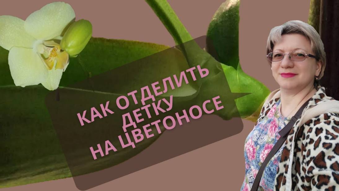 КАК ОТДЕЛИТЬ ДЕТКУ НА ЦВЕТОНОСЕ | Орхидея фаленопсис