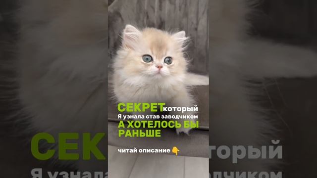 Читай👇