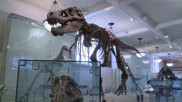 How Fast Did Dinosaurs Grow, and How Long Did They Live?