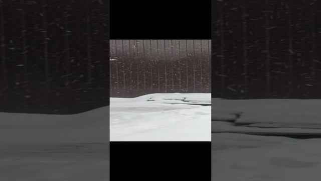 Снег в Ильинском-Хованском, 07.01.25