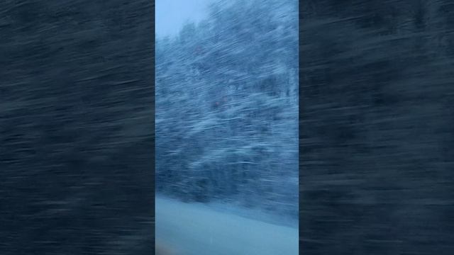 1000031220.mp4