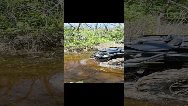 1000032183.mp4