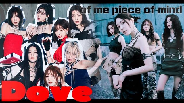 GOT the beat - Stamp On It | SM 위주 커버보컬 팀 𝑫𝒐𝒗𝒆