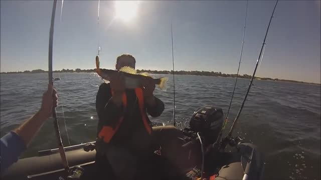 Ловля судака на кораблики в море